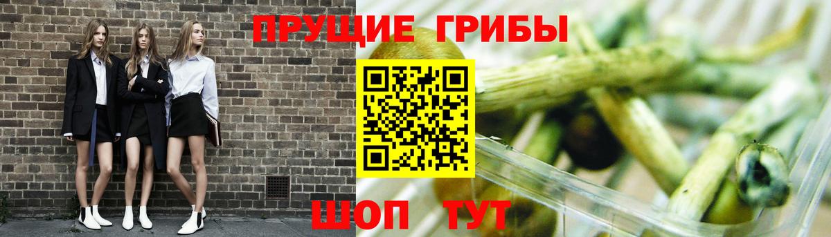 Галлюциногенные грибы мухоморы Новый Уренгой
