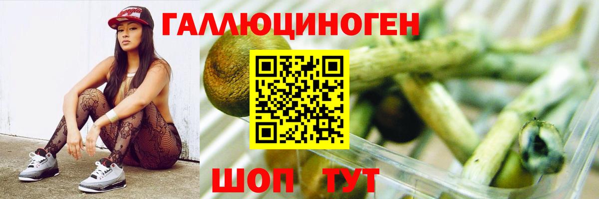 Галлюциногенные грибы MAGIC MUSHROOMS  Вход с VPN  Новый Уренгой  Псилоцибиновые грибы Cubensis 